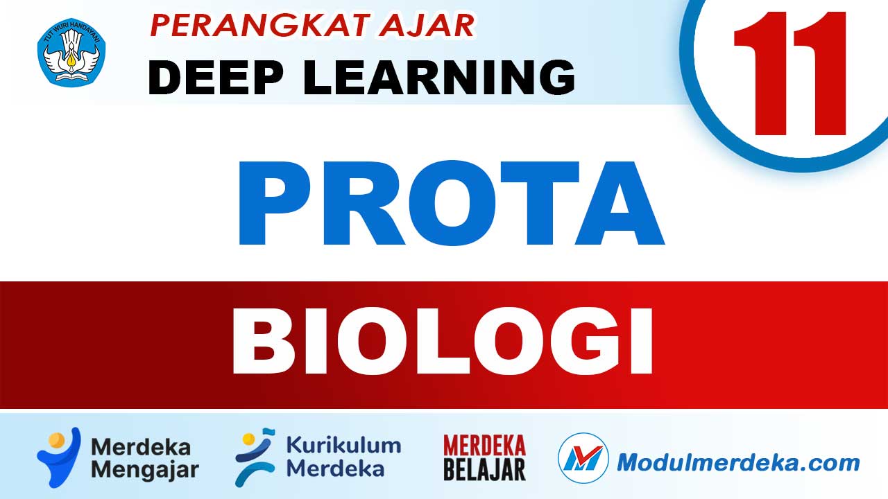 PROTA Biologi Kelas 11 SMA/MA